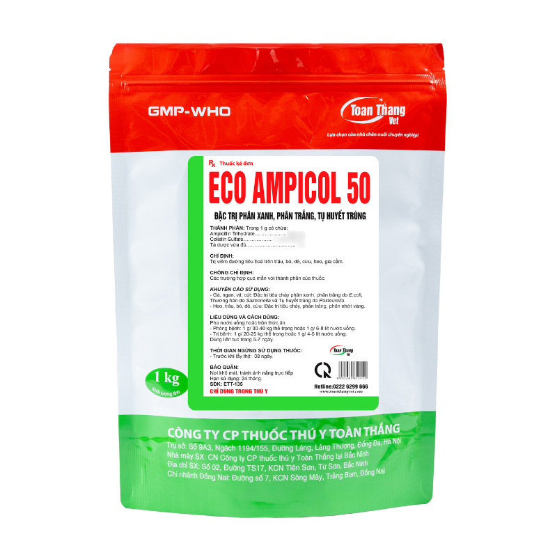 ECO - AMPICOL 50 - Đặc trị phân xanh, phân trắng, tụ huyết trùng