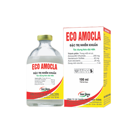 Eco Amocla - Đặc trị nhiễm khuẩn, tác dụng kéo dài 48 giờ