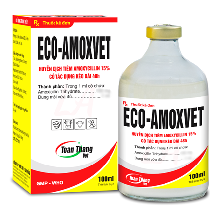 ECO AMOXVET LA - HUYỄN DỊCH TIÊM AMOXICILLIN 15%  CÓ TÁC DỤNG KÉO DÀI 48 GIỜ