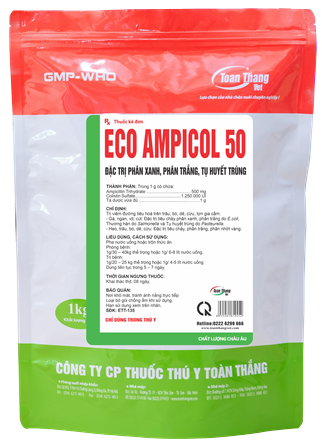 ECO - AMPICOL 50 - Đặc trị phân xanh, phân trắng, tụ huyết trùng