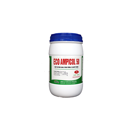 Eco Ampicol 50 - Đặc trị phân xanh, phân trắng, tụ huyết trùng