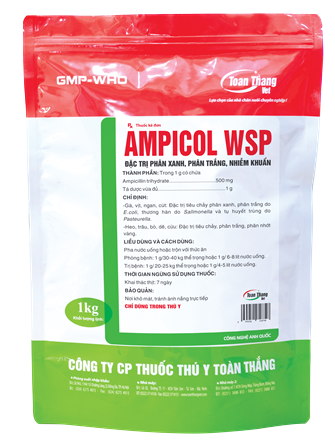 AMPICOL WSP -  ĐẶC TRỊ CÁC BỆNH ĐƯỜNG TIÊU HÓA, HÔ HẤP