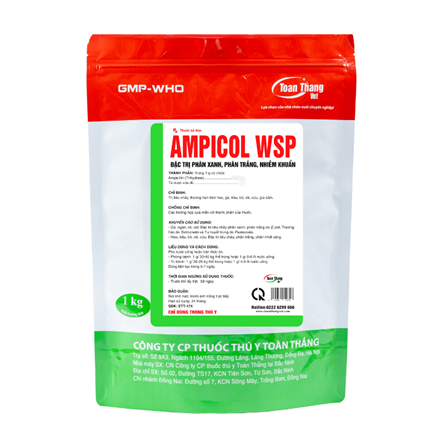 AMPICOL WSP -  ĐẶC TRỊ CÁC BỆNH ĐƯỜNG TIÊU HÓA, HÔ HẤP