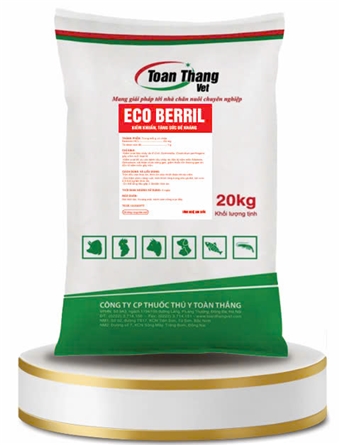 ECO BERRIL - ANTIBACTERIAL, INCREASE RESISTANCE