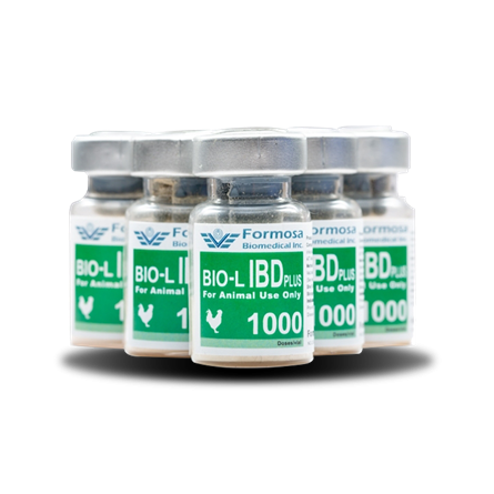 Bio-L IBD Plus - This vaccine is indicated to prevention of Infectious Bursal Disease (IBD) in poultry.