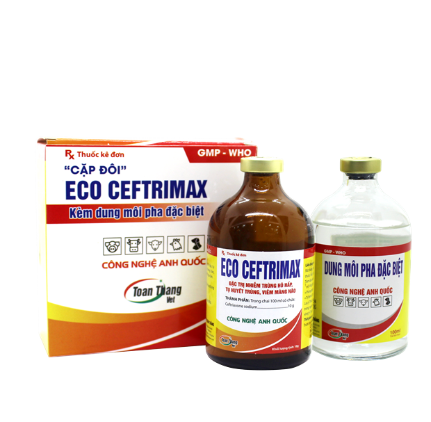 ECO CEFTRIMAX B - ĐIỀU TRỊ NHIỄM TRÙNG HÔ HẤP,  TỤ HUYẾT TRÙNG, VIÊM MÀNG NÃO