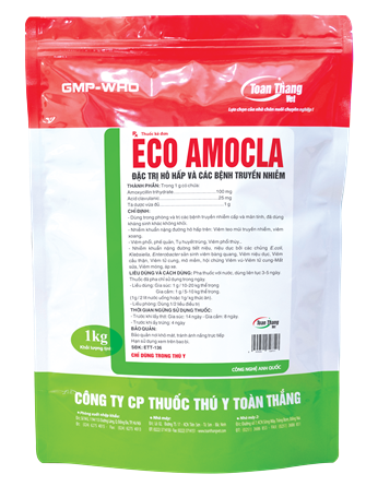 ECO AMOCLA - Đặc trị hô hấp và các bệnh truyền nhiễm.