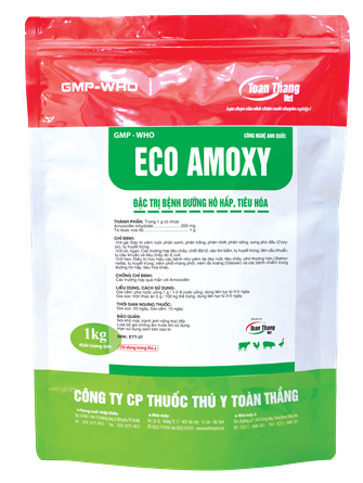 ECO AMOXY - ĐẶC TRỊ THƯƠNG HÀN, PHÂN XANH, PHÂN TRẮNG, NHỚT VÀNG