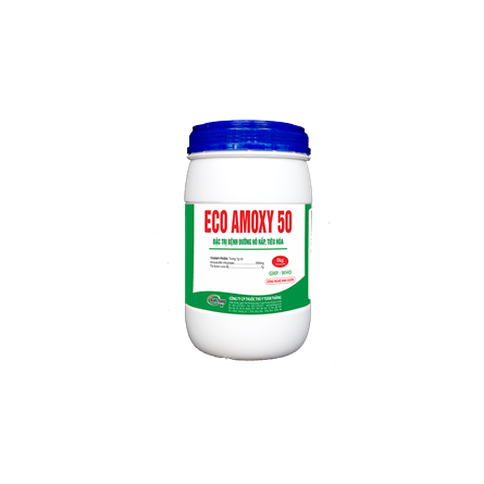 Eco Amoxy 50 - Đặc trị bệnh đường hô hấp, tiêu hóa