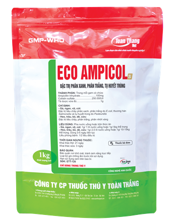 ECO AMPICOL S - Đặc trị phân xanh, phân trắng, tụ huyết trùng.