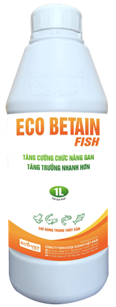 ECO BETAIN FISH - Enhance liver function, fast growth