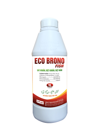 ECO BRONO FISH