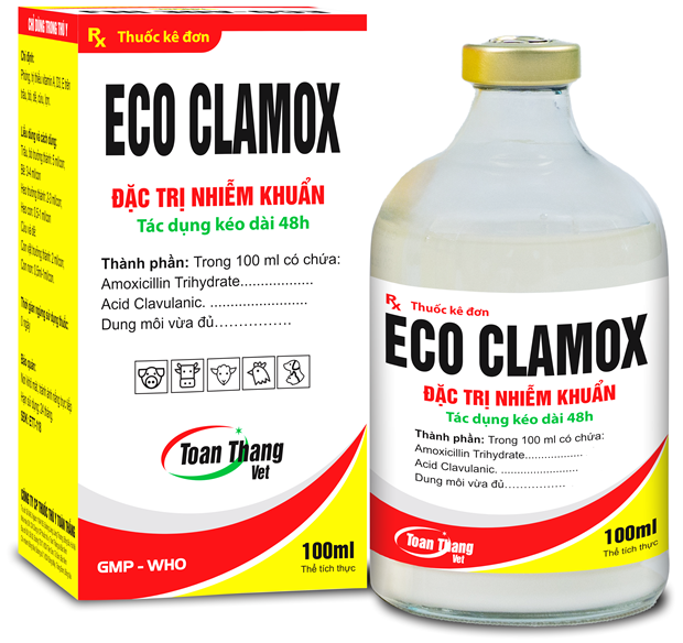 Eco Clamox - Special treatment for infections, lasting 48 hours