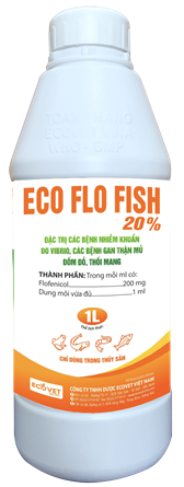 ECO FLO FISH 20% - ĐẶC TRỊ CÁC BỆNH NHIỄM KHUẨN DO VIBRIO, CÁC BỆNH GAN THẬN MỦ, ĐỐM ĐỎ, THỐI MANG