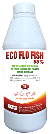 ECO FLO FISH 50%-ĐẶC TRỊ NHIỄM KHUẨN DO VIBRIO, CÁC BỆNH  NHIỄM TRÙNG ĐƯỜNG RUỘT ĐẶC TRỊ NHIỄM KHUẨN DO VIBRIO, CÁC BỆNH  NHIỄM TRÙNG 