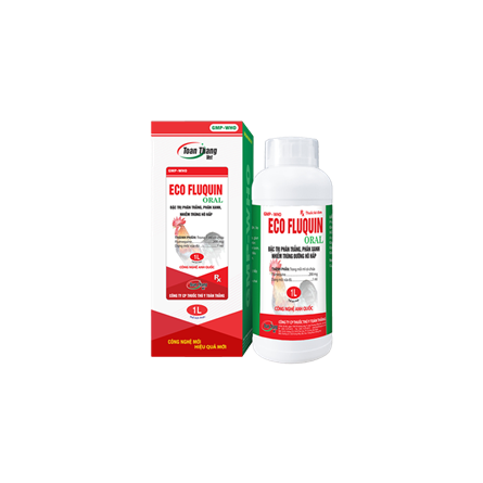 ECO FLUQUIN ORAL - Đặc trị phân trắng, phân xanh, nhiễm trùng hô hấp