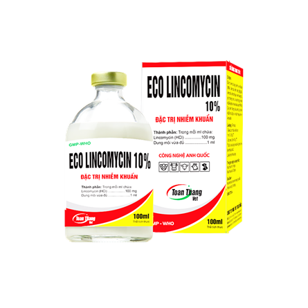 Eco Lincomycin 10% - Treatment of bacterial infections