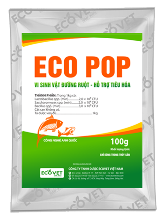 ECO POP - Vi sinh vật đường ruột, hỗ trợ tiêu hoá