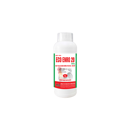 ECO ENRO 20 SOL - ĐẶC TRỊ CÁC BỆNH ĐƯỜNG TIÊU HÓA, HÔ HẤP