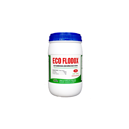 Eco Flodox - Đặc trị nhiễm khuẩn, bệnh đường hô hấp, tiêu hóa