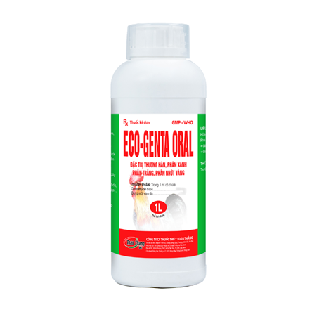 ECO - GENTA ORAL - Đặc trị thương hàn, phân xanh, phân vàng nhớt