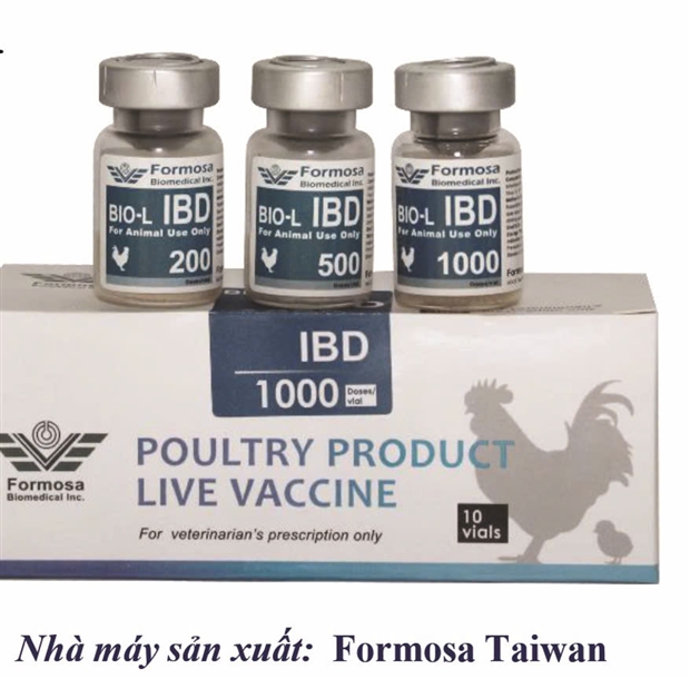 BIO-L IBD - Vaccine sống, viên đông khô,  phòng bệnh gumboro trên gia cầm