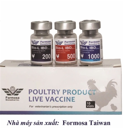 BIO-L IBD PLUS - Vaccine sống, viên đông khô,  phòng bệnh gumboro trên gia cầm