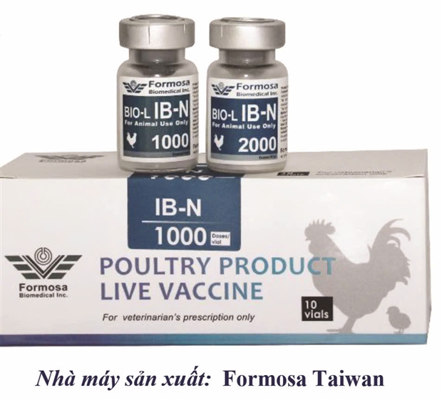 BIO-L IB-N - Vaccine phòng bệnh viêm phế quản truyền nhiễm thể hướng thận trên gia cầm