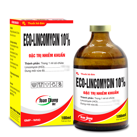 ECO LINCOMYCIN 10% - Đặc trị nhiễm khuẩn