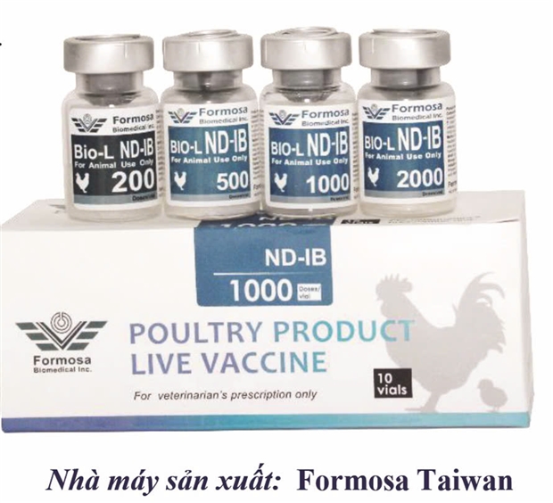 BIO-L ND/IB - Vaccine sống, viên đông khô, phòng bệnh newcastle và viêm phế quản truyền nhiễm trên gia cầm