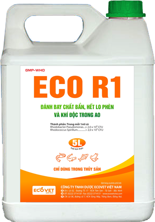 ECO R1 - Remove dirt, worry about alum and toxic gas in the pond