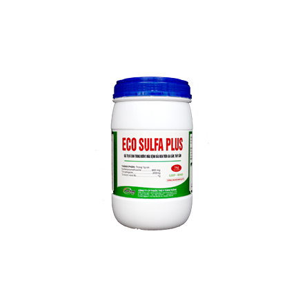Eco Sulfa Plus - Đặc trị kí sinh trùng đường máu bệnh đầu đen trên gia cầm, thủy cầm