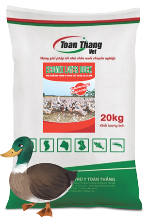 ECOMIX LAYER DUCK - VITAMIN AND MINERAL SUPPLEMENTARY FEED FOR LIVESTOCK AND POULTRY