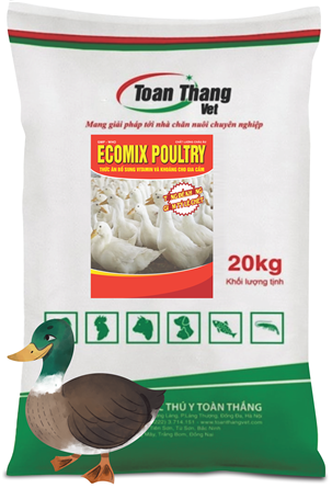 ECOMIX POULTRY - VITAMIN AND MINERAL SUPPLEMENT FOR LIVESTOCK AND POULTRY