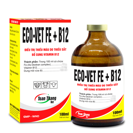 ECO VET FE + B12 - Treatment of iron deficiency anemia. Vitamin B12 supplement